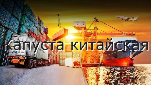 Капуста китайская