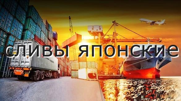 сливы японские